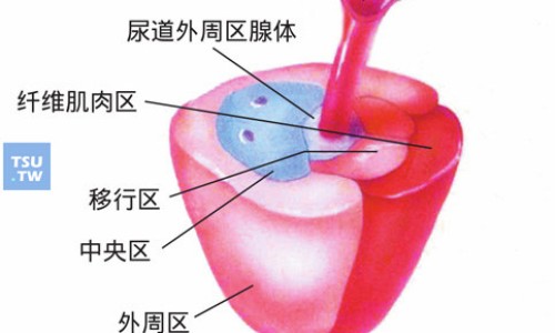 安神多梦吃什么食物网失眠多梦吃安神补脑液效果好吗知识网站,分享失眠多梦吃安神补脑液效果好吗大全