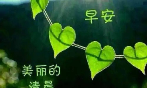 安神多梦吃什么食物网失眠多梦吃安神补脑液效果好吗知识网站,分享失眠多梦吃安神补脑液效果好吗大全