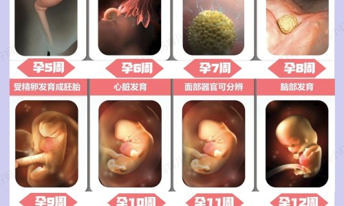 晚上多梦能吃安神胶囊吗-安神多梦吃什么食物网失眠多梦吃安神补脑液效果好吗知识网站,分享失眠多梦吃安神补脑液效果好吗大全